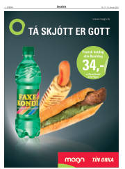 Síða 8
