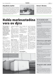 Síða 13