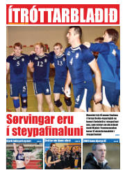 Síða 17