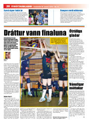 Síða 20