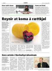 Síða 6
