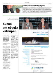 Síða 7