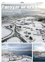 Síða 20