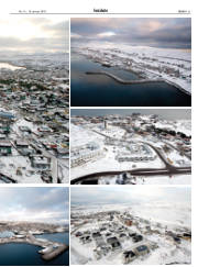 Síða 21