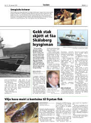 Síða 13