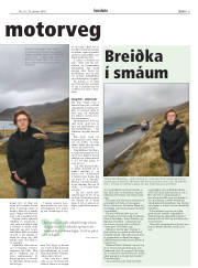 Síða 21