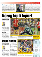 Síða 25