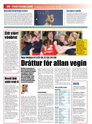 Síða 20