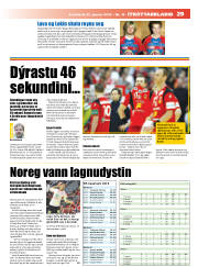 Síða 29