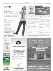 Síða 33