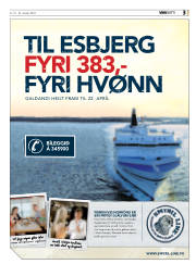 Síða 3