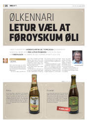 Síða 16