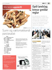 Síða 19