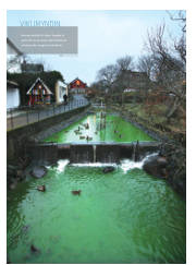 Síða 24
