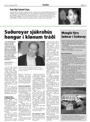 Síða 13