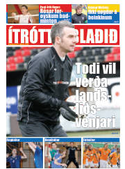 Síða 17