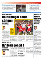 Síða 21