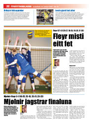 Síða 22