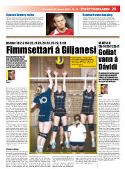 Síða 23