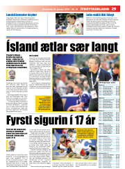 Síða 29