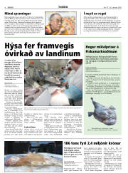 Síða 8