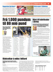 Síða 25