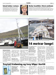 Síða 11