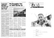 Síða 6