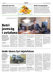 Síða 6