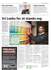 Síða 8