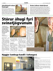 Síða 10