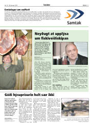 Síða 11