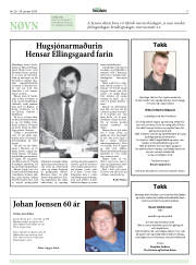 Síða 17