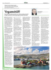 Síða 13