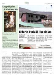 Síða 22