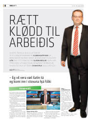 Síða 8