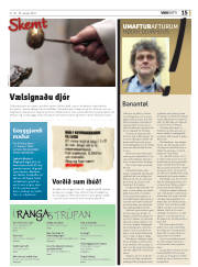 Síða 15