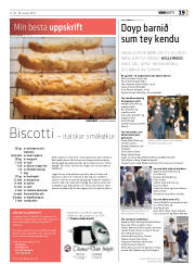 Síða 19