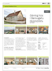 Síða 21