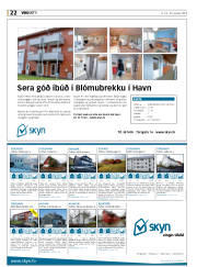 Síða 22