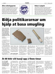 Síða 6
