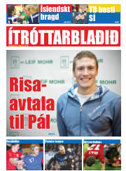 Síða 13