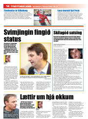 Síða 14
