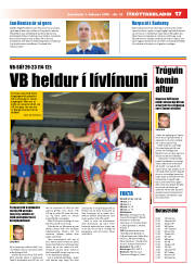 Síða 17