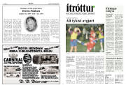 Síða 8
