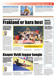 Síða 25