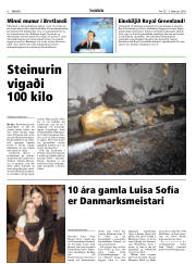 Síða 6