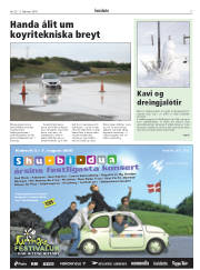 Síða 17