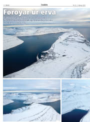 Síða 18