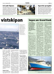 Síða 11